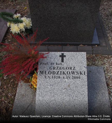 Grzegorz Młodzikowski