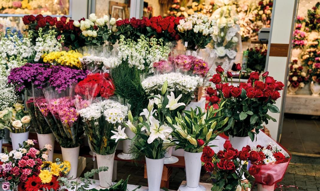 Kwiaciarnia Toruń