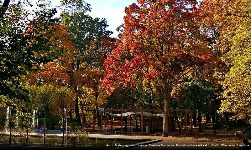 Park Miejski w Toruniu