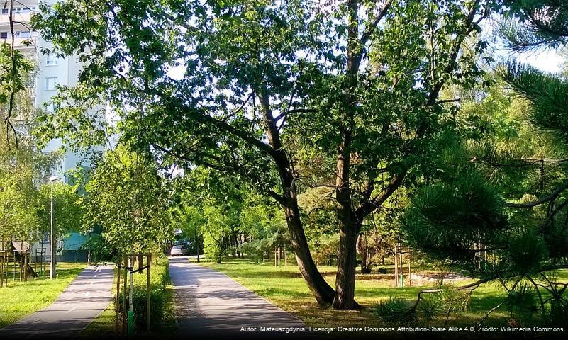 Park Na Skarpie w Toruniu