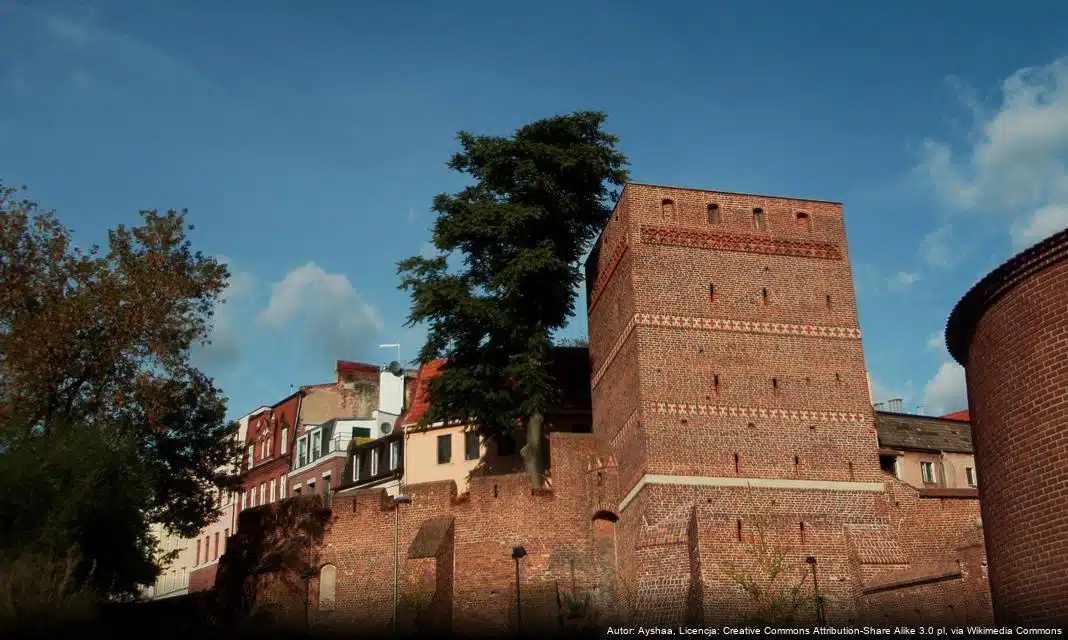 Nowa grupa wsparcia dla opiekunów osób chorych na Alzheimera w Toruniu