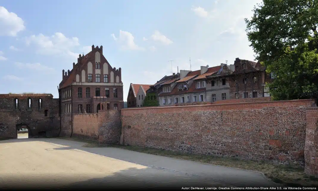 Planowana interwencyjna wycinka drzew w Toruniu